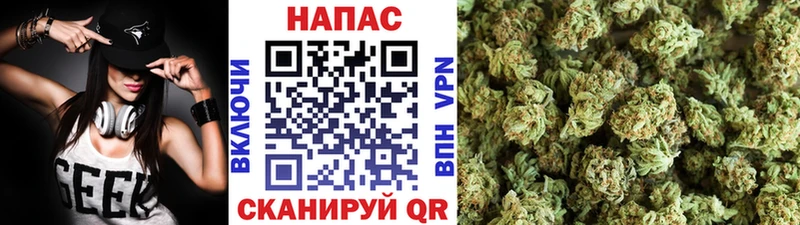 Марихуана марихуана  купить  сайты  Ветлуга 